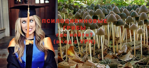 прущий лед Белоозёрский